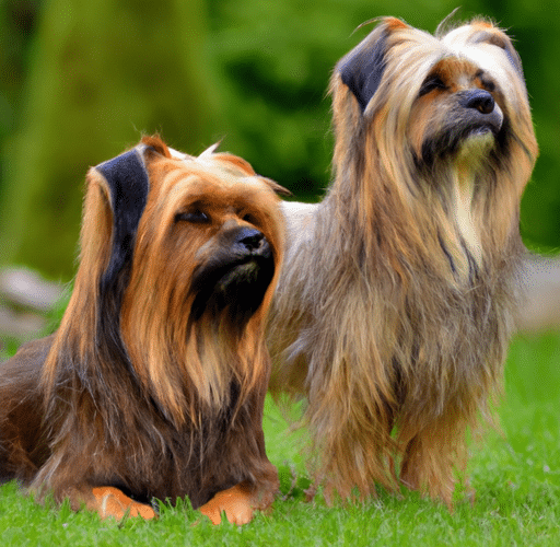 Pies w podróży: Przygoda z fryzjerem w Rebrtowie