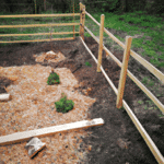 Porady ekspertów na temat zakładania ogrodów w Podkowie Leśnej