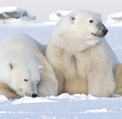 Jak wybrać idealny polar roboczy dla Twoich potrzeb?