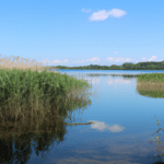 Zapomniane piękno Jeziora Pogoria IV - odkryj urok Kuźnicy Warężyńskiej