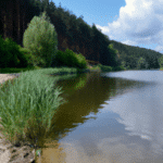 Piękno natury w pełnej krasie: Odkrywaj Jezioro Przeczyckie