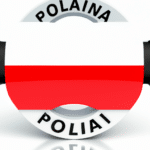 Wirtualna Polska: Jak technologia zmienia nasze społeczeństwo i działa na korzyść rozwoju