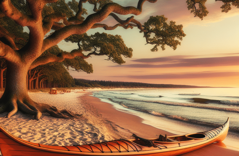 Jakie są najważniejsze rzeczy które powinieneś wiedzieć przed wyprawą kajakową w Dębkach?