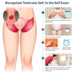 jak rozpoznać raka jąder