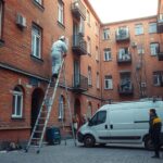 usuwanie gniazd os praga północ